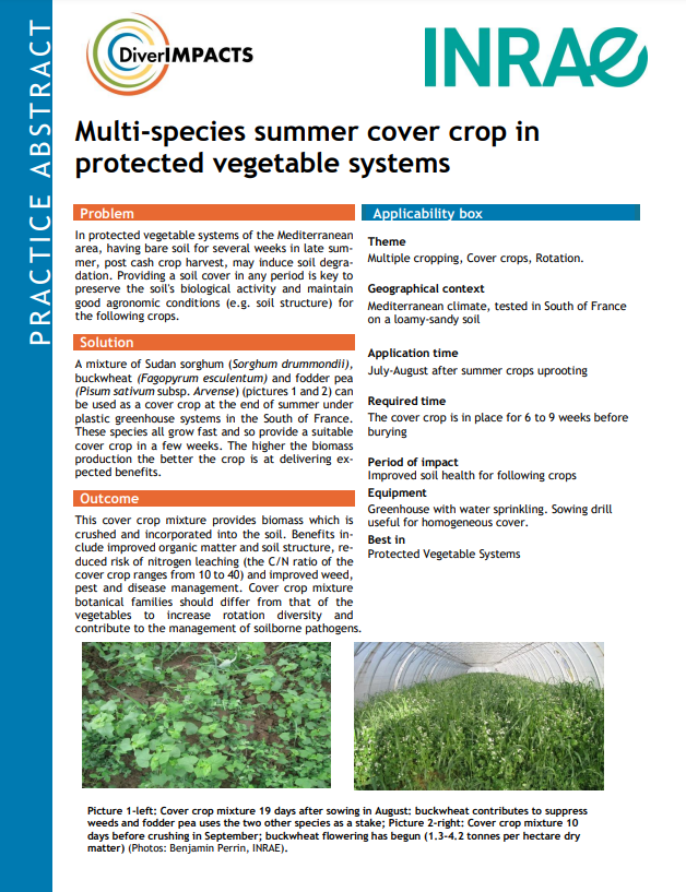 Organic Eprints Multispecies summer cover crop in protected